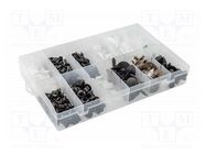 Car clips; 255pcs; VW HÖGERT TECHNIK