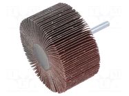 Grinding pin; Granularity: 80; Holder: plunger; 6mm; flap PG PROFESSIONAL