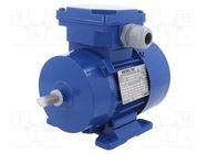 Motor: AC; 3-phase; 0.06kW; 230/400VAC; 1400rpm; IP54; -30÷60°C BESEL