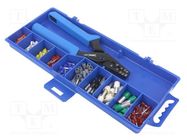 Kit: designed for terminal crimping; 0.5÷16mm2; box BM GROUP