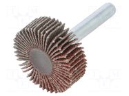 Grinding pin; Granularity: 60; Holder: plunger; 6mm; flap PG PROFESSIONAL