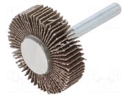 Grinding pin; Granularity: 60; Holder: plunger; 6mm; flap PG PROFESSIONAL