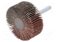 Grinding pin; Granularity: 60; Holder: plunger; 6mm; flap PG PROFESSIONAL