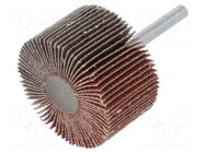 Grinding pin; Granularity: 60; Mounting: rod 6mm; flap,with lever PG PROFESSIONAL