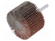 Grinding pin; Granularity: 60; Holder: plunger; 6mm; flap PG PROFESSIONAL