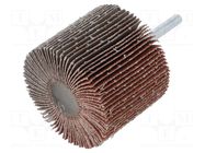 Grinding pin; Granularity: 60; Holder: plunger; 6mm; flap PG PROFESSIONAL