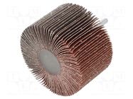 Grinding pin; Granularity: 60; Holder: plunger; 6mm; flap PG PROFESSIONAL