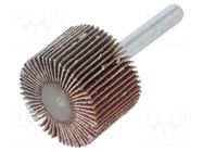 Grinding pin; Granularity: 80; Mounting: rod 6mm; flap,with lever PG PROFESSIONAL
