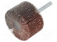 Grinding pin; Granularity: 80; Holder: plunger; 6mm; flap PG PROFESSIONAL