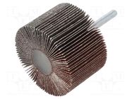 Grinding pin; Granularity: 80; Mounting: rod 6mm; flap,with lever PG PROFESSIONAL