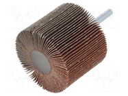 Grinding pin; Granularity: 80; Holder: plunger; 6mm; flap PG PROFESSIONAL