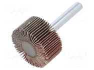 Grinding pin; Granularity: 120; Mounting: rod 6mm; Ø30x15mm PG PROFESSIONAL