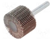 Grinding pin; Granularity: 120; Mounting: rod 6mm; Ø30x20mm PG PROFESSIONAL