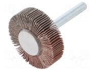 Grinding pin; Granularity: 120; Holder: plunger; 6mm; flap PG PROFESSIONAL