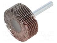 Grinding pin; Granularity: 120; Mounting: rod 6mm; Ø40x15mm PG PROFESSIONAL