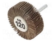 Grinding pin; Granularity: 120; Mounting: rod 6mm; Ø60x20mm PG PROFESSIONAL