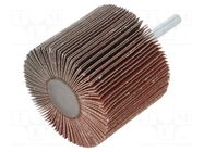 Grinding pin; Granularity: 120; Holder: plunger; 6mm; flap PG PROFESSIONAL