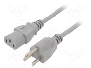 Cable; 3x18AWG; IEC C13 female,NEMA 5-15 (B) plug; PVC; 5m; grey LIAN DUNG