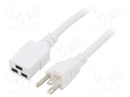 Cable; 3x14AWG; IEC C19 female,NEMA 5-15 (B) plug; PVC; 5m; white LIAN DUNG