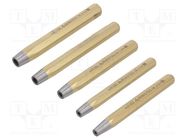 Kit: rivet setter for rivets; 5pcs. RENNSTEIG