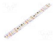 LED tape; white warm; LED/m: 160; 10mm; IP20; 120°; 9.6W/m; 24VDC KLUŚ