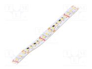 LED tape; white neutral; 24V; LED/m: 160; 10mm; IP20; 120°; 4.8W/m KLUŚ