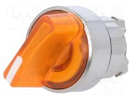 Switch: rotary; 22mm; Stabl.pos: 2; orange; LED; IP66; prominent SCHNEIDER ELECTRIC