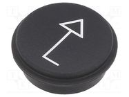 Button; round; Ø21mm; black; 09 