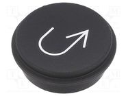 Button; round; Ø21mm; black; 09 EAO