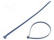 Cable tie; with metal; L: 380mm; W: 7.6mm; blue; polyamide; 540N BM GROUP