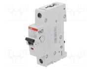 Circuit breaker; 230/400VAC; Inom: 4A; Poles: 1; Charact: B; 6kA ABB