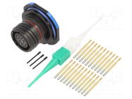 Connector: military; socket; female; PIN: 22; straight; crimped AMPHENOL AIR