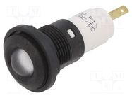 Indicator: LED; prominent; white; 12VDC; 12VAC; Ø16mm; IP67; plastic CML INNOVATIVE TECHNOLOGIES