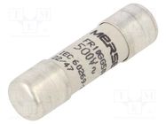 Fuse: fuse; gG,time-lag; 1A; 500VAC; 250VDC; 10x38mm MERSEN