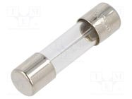 Fuse: fuse; time-lag; 10A; 250VAC; cylindrical,glass; 5x20mm; brass EATON/BUSSMANN