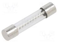 Fuse: fuse; time-lag; 15A; 32VAC; cylindrical,glass; 6.3x32mm; MDL EATON/BUSSMANN