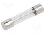 Fuse: fuse; time-lag; 5A; 250VAC; cylindrical,glass; 6.3x32mm; MDL EATON/BUSSMANN