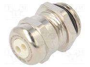 Cable gland; multi-hole; M16; 1.5; IP68; brass; Holes no: 2; 3mm HUMMEL