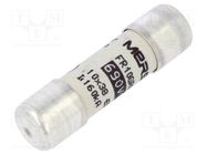 Fuse: fuse; gR,ultra rapid; 16A; 690VAC; 10x38mm MERSEN