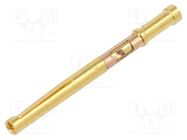 Contact; female; 1B; crimped; for cable LEMO