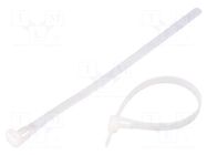 Cable tie; multi use; L: 200mm; W: 7.2mm; natural; polyamide QOLTEC