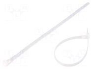 Cable tie; multi use; L: 250mm; W: 7.2mm; natural; polyamide QOLTEC
