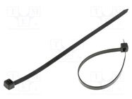 Cable tie; L: 160mm; W: 4.8mm; polyamide; black; 100pcs; UL94V-2 QOLTEC