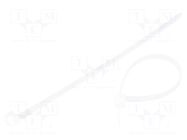 Cable tie; L: 160mm; W: 4.8mm; natural; polyamide; 100pcs; UL94V-2 QOLTEC