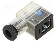 Plug for coil; PIN: 3; natural (transparent); 24V; A: 20.8mm 