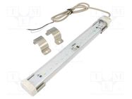 LED lamp; cool white; 385lm; 6500K; 24VDC; IP65; 1m; -30÷60°C PATLITE