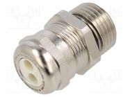 Cable gland; multi-hole; NPT1/2"; IP68; brass; Holes no: 2; 5mm 