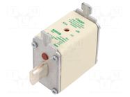 Fuse: fuse; 63A; 690VAC; aM; industrial; NH00 HAGER