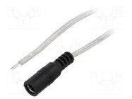 Cable; 2x0.5mm2; wires,DC 5,5/2,1 socket; straight; transparent BQ CABLE