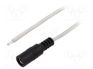 Cable; 2x0.5mm2; wires,DC 5,5/2,1 socket; straight; transparent BQ CABLE